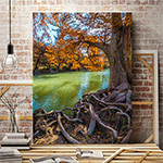 Bits of Nature image